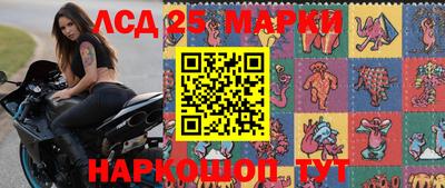 СК Шебекино
