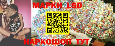стаф Шахты