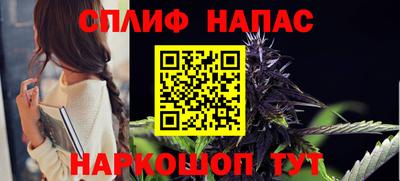 СК Шебекино
