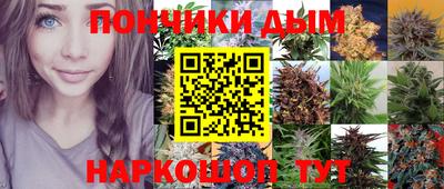 СК Шебекино