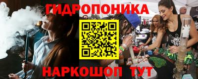 винт Шелехов