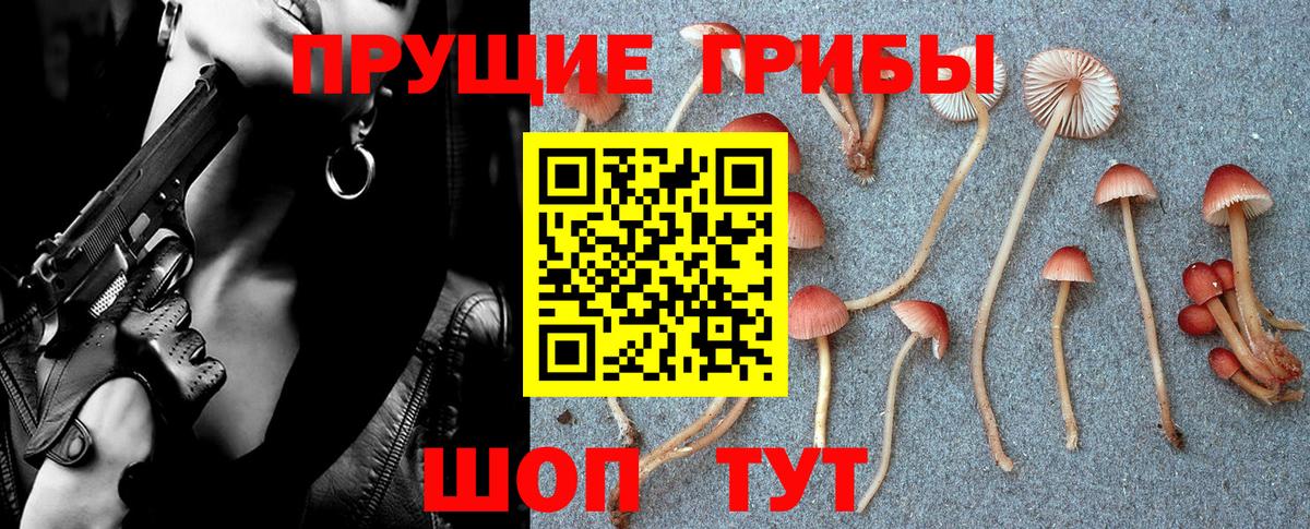 Галлюциногенные грибы Psilocybe  Вход с VPN  Белая Калитва 