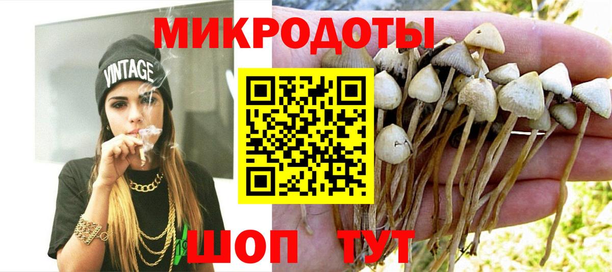 Псилоцибиновые грибы Psilocybe Белая Калитва